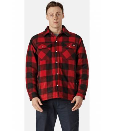 Camisa Dickies Portland